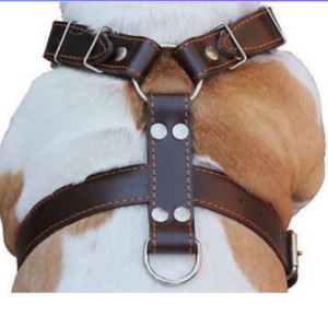 BODY HARNESS