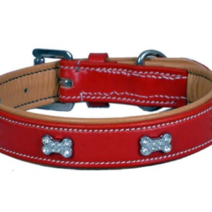 DOG & CAT COLLARS